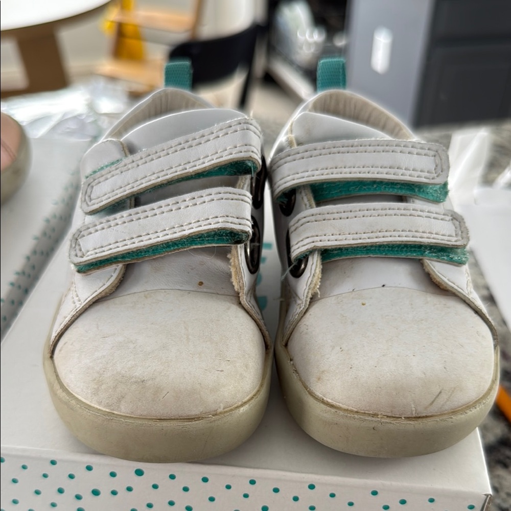 Ten Little Everyday sneaker toddler size 8